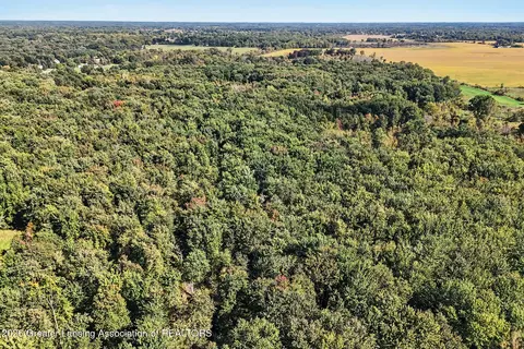0 S Perkey Rd, Eaton Rapids, MI 48827 photo 5