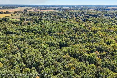 0 S Perkey Rd, Eaton Rapids, MI 48827 photo 10