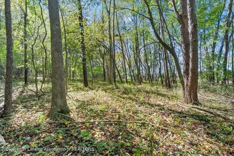 Other - 2001 W Stoll Rd, Dewitt, MI 48820 photo 12 of 13