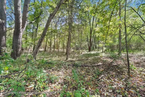 Other - 2001 W Stoll Rd, Dewitt, MI 48820 photo 11 of 13