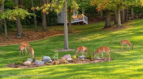 Other - 1800 Wilderness Dr, Dewitt, MI 48820 photo 4 of 17