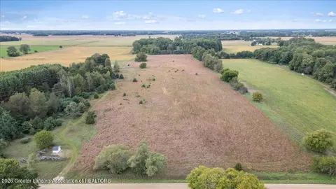 V/l Vincent Road, Elsie, MI 48831