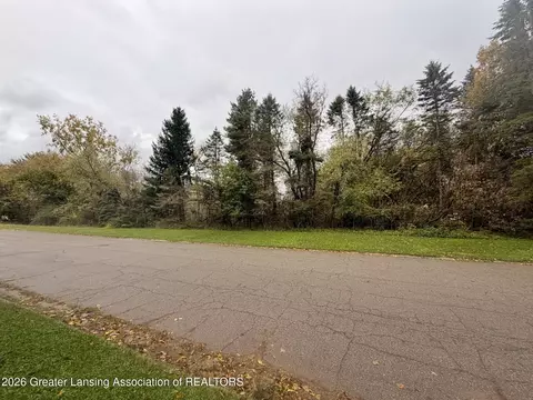 2287 Hiddenview Ln, Williamston, MI 48895 photo 11