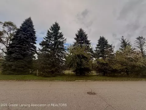 2287 Hiddenview Ln, Williamston, MI 48895 photo 12