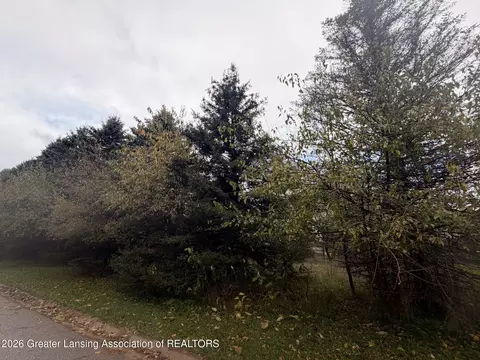 2287 Hiddenview Ln, Williamston, MI 48895 photo 13