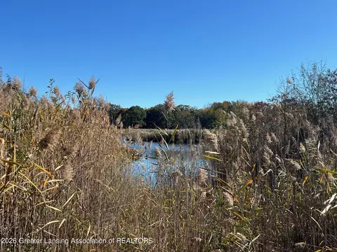 0 Peacock Rd, Haslett, MI 48840 photo 33
