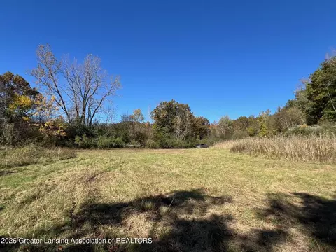 0 Peacock Rd, Haslett, MI 48840 photo 17