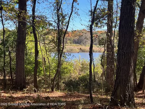 0 Peacock Rd, Haslett, MI 48840 photo 19