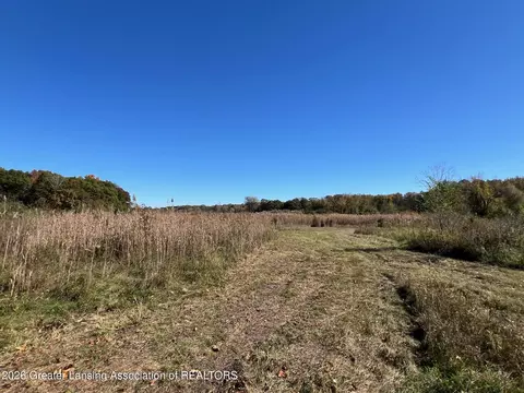 0 Peacock Rd, Haslett, MI 48840 photo 6