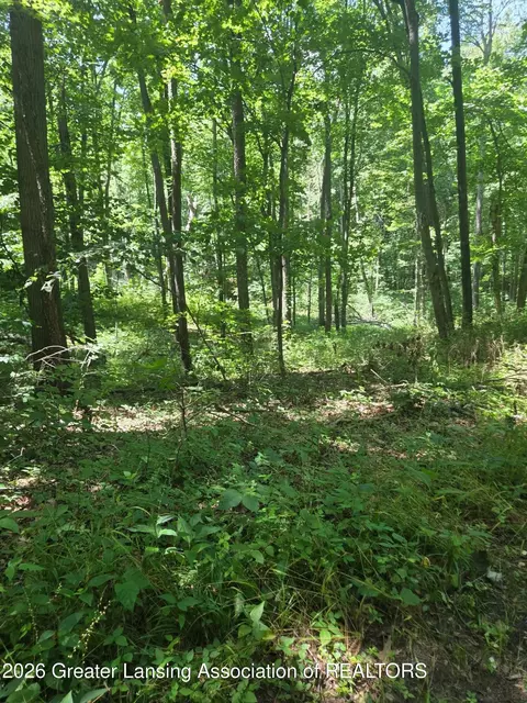 Other - 10450 Corcoran Rd, Haslett, MI 48840 photo 26 of 29