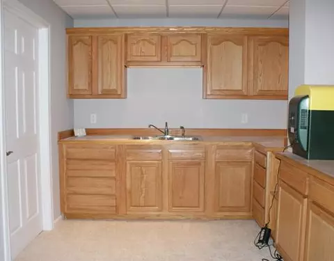 4285 Chancellor, Dewitt, MI 48820 photo 9