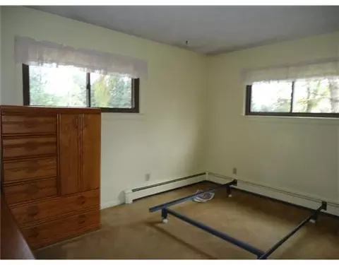 9139 Bridge St, Dimondale, MI 48821 photo 5