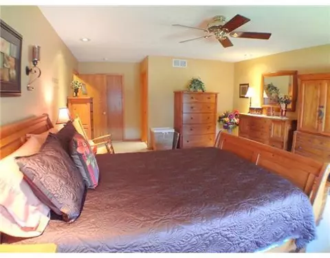 11909 Schavey, Dewitt, MI 48820 photo 8