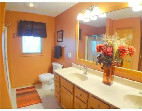 11909 Schavey, Dewitt, MI 48820 photo 9