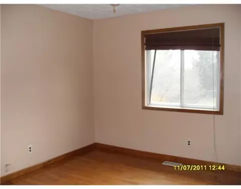 403 Creeping Brk, Dewitt, MI 48820 photo 8