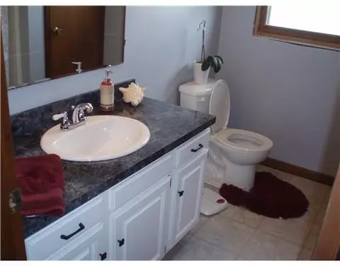 2921 Keefer, Lyons, MI 48851 photo 8