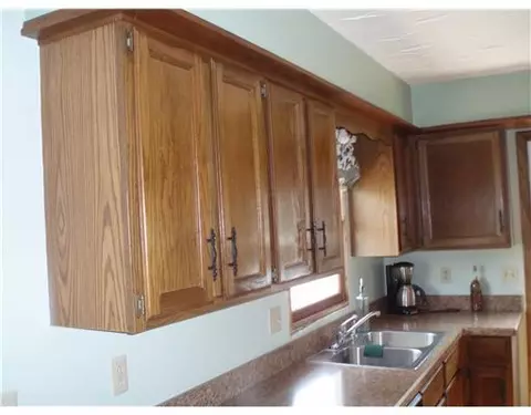 2921 Keefer, Lyons, MI 48851 photo 5