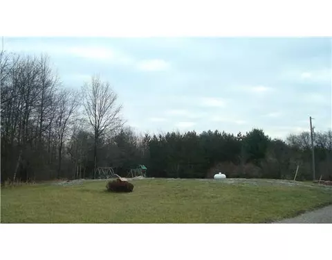 9933 E Garfield, Ashley, MI 48806 photo 3