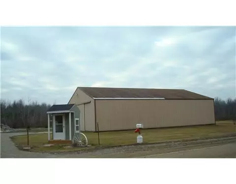9933 E Garfield, Ashley, MI 48806 photo 2