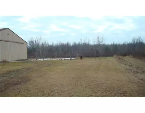 9933 E Garfield, Ashley, MI 48806 photo 8