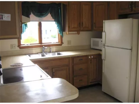 357 S Maple, Fowler, MI 48835 photo 17