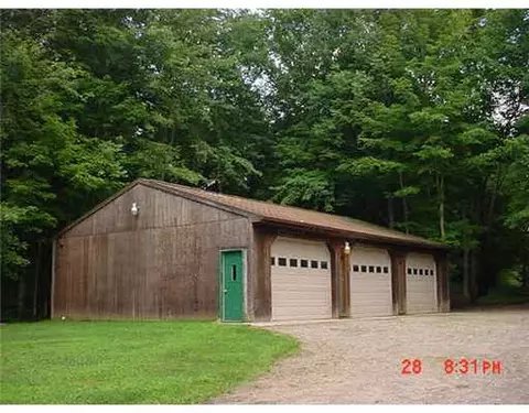 13110 Hinman, Eagle, MI 48822 photo 10