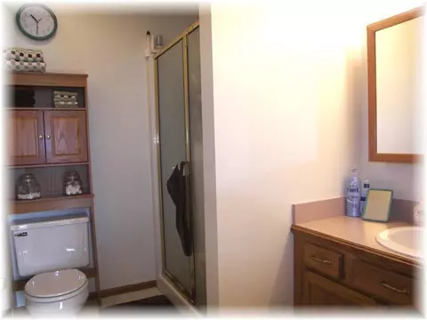 1258 Castlewood Cir, Dewitt, MI 48820 photo 15