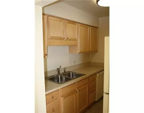 1745 Maple Rdg #4, Haslett, MI 48840 photo 5