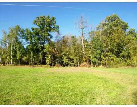 9871 Dublin Dr, Laingsburg, MI 48848 photo 1