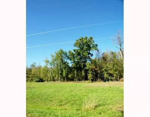 9871 Dublin Dr, Laingsburg, MI 48848 photo 3