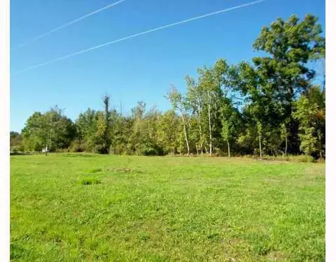 9871 Dublin Dr, Laingsburg, MI 48848 photo 5