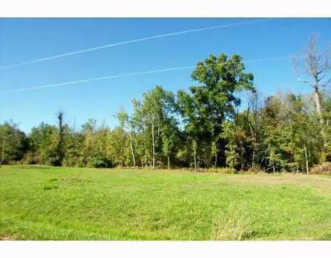 9871 Dublin Dr, Laingsburg, MI 48848 photo 6