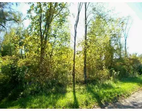 9871 Dublin Dr, Laingsburg, MI 48848 photo 2