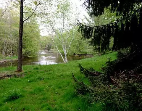 11720 Eden Trl, Eagle, MI 48822 photo 10