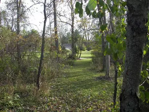 10378 Pollard, Haslett, MI 48840 photo 24