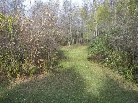 10378 Pollard, Haslett, MI 48840 photo 23