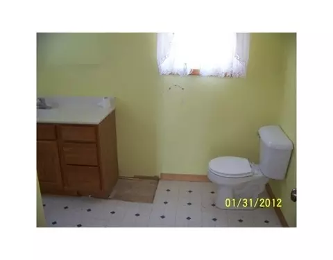 666 S Maple Ave, Maple Rapids, MI 48853 photo 3