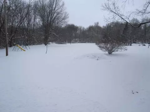 11160 Dewitt Rd, Dewitt, MI 48820 photo 8