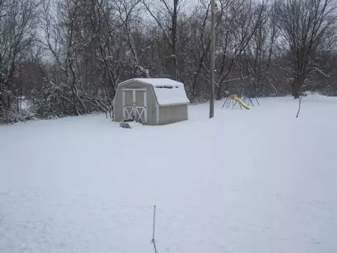 11160 Dewitt Rd, Dewitt, MI 48820 photo 9