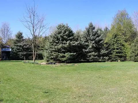 13120 Delaney Rd, Perry, MI 48872 photo 18