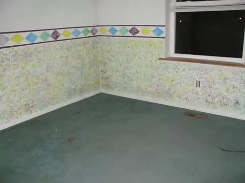 503 Cherry St, Dewitt, MI 48820 photo 5