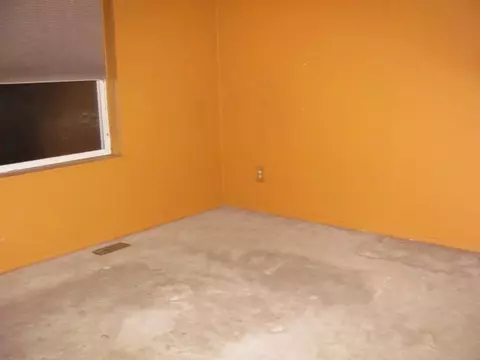 503 Cherry St, Dewitt, MI 48820 photo 6