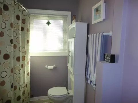 121 N Dibble, Lansing, MI 48917 photo 10