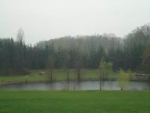 13756 W Mccrumb Rd, Eagle, MI 48822 photo 2