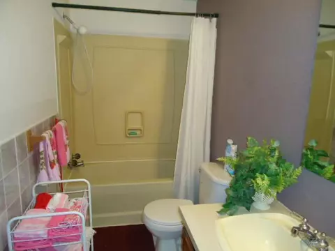 13756 W Mccrumb Rd, Eagle, MI 48822 photo 12