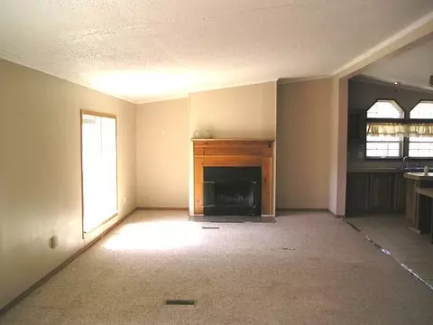 135 E Howe Ave, Lansing, MI 48906 photo 4