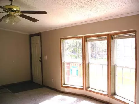 135 E Howe Ave, Lansing, MI 48906 photo 10