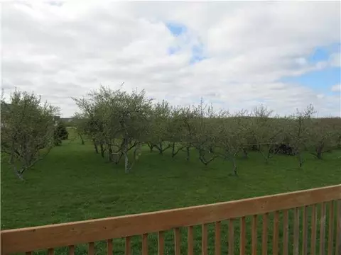 8065 Mcintosh St, Saint Johns, MI 48879 photo 10