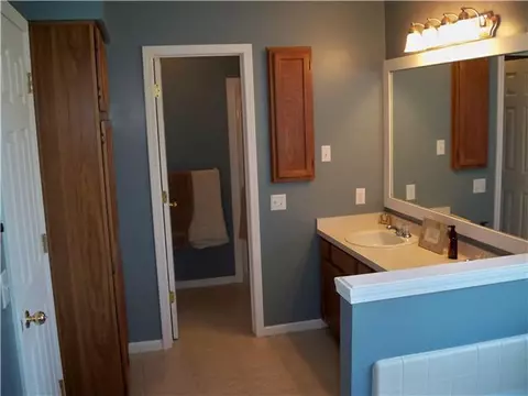108 Rivergate Ln, Dewitt, MI 48820 photo 8