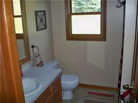 108 Rivergate Ln, Dewitt, MI 48820 photo 15